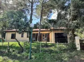 Maison familiale avec jardin, près de l'océan dans un quartier calme - FR-1-239-820