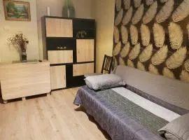 Apartament Silva Busteni