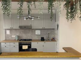 ROTU&Scaron;ĖS g 23 APARTMENTS IN THE CITY CENTER BIRŽAI