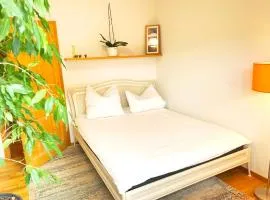 1,5-Zimmer mit Duschbad, Gartenblick, Kühlschrank