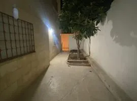 شقه مفروشه مميزه