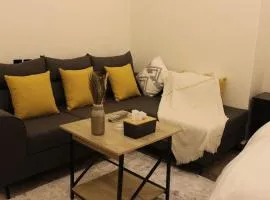 استوديو مودرن مطل على البوليفارد