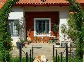 Helicon Muses Friendly Mountain B&B Guesthouse