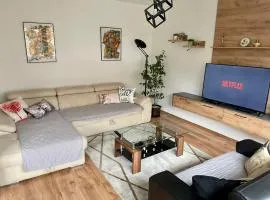 Luxury City Center Apartment
