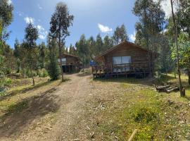 Cabaña Don Pepe, en Estancia Don Domingo, chalet de montaña en Curicó