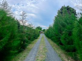 North Pine Forest Homestay บ้านไม้สนโฮมสเตย์, hotell sihtkohas Ban Mae Pong