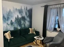 Apartament Koko Białka Tatrzańska