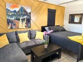 Mini Desert Oasis at Painted Sands 3