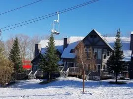Lux 5BR 4BA SV125 SKI In Out, 18-hole Championship Golf Course, Water Park, pet friendly
