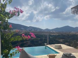 Waterlily Antiparos Villa: Agios Georgios şehrinde bir otel