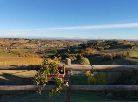 Cantina Visconti - Agriturismo，Vigoleno的便宜飯店