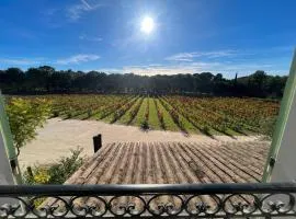 Appartement unique dans le domaine de la sangliere