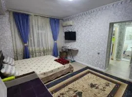 Sergeli apartment
