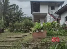 Finca exclusividad familiar o grupo de amigos capacidad hasta 12 personas calles en placa huella, caminata ecológica