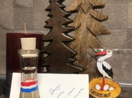 Studio apartman Avenija ***