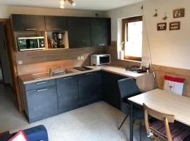 Appartement lumineux avec balcon et parking, 6 pers. - FR-1-198-241