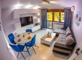 Apartament Książęcy przy Pałacu - klimatyzacja