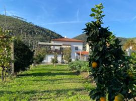 La tenuta di Eva, apartment in Pisa