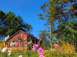 Romantic house 2 on a pine hill Dalat, cabană din Da Lat