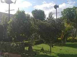 Dole Gardens Naivasha