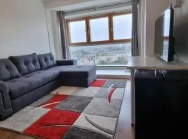 Gottersea 1 bedroom flat in Battersea 70 mq