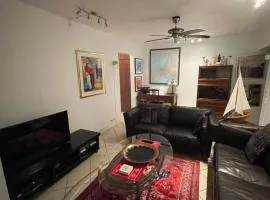 Apartament spațios în Timișoara