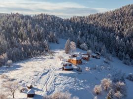 Seosko turističko domaćinstvo Bojovići (Rajkova koliba), hotel v mestu Nova Varoš