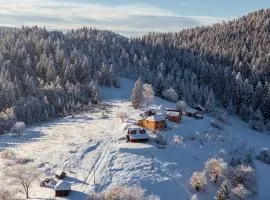 Seosko turističko domaćinstvo Bojovići (Rajkova koliba)