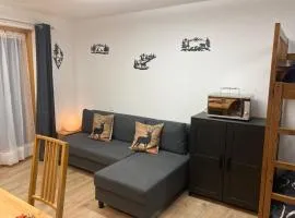 Appartement 2.5 pièces au cœur de Saas Fee
