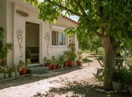 Beautiful cottage house at Mesokampos