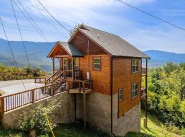 Picadilly Perch, holiday home in Gatlinburg