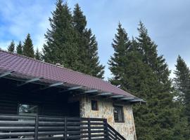 Apartma Tisa, place to stay in Zreče