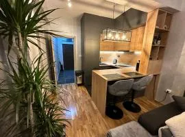Arbo LUX Apartment