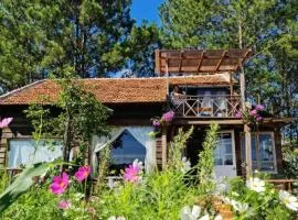 Romantic house on a pine hill Dalat