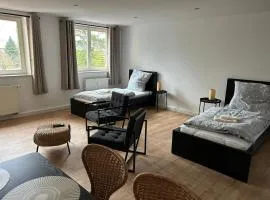 cozy Apartment/WLAN in Neustadt i. Sachsen