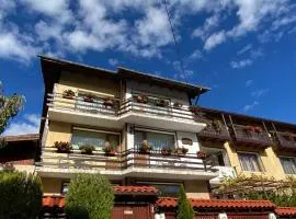 Guest House Planinski Zdravets