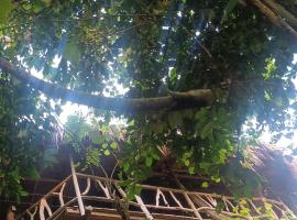 Sierra Tayrona hostel, ξενοδοχείο σε El Zaino