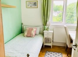 Single chic room with beautiful landscape and garden view, homestay in Sydenham