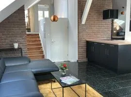Modern Penthouse APT2 near Frankfurt