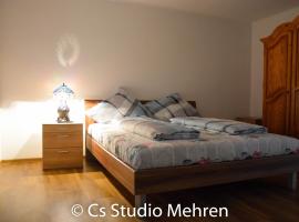 Apartament 2 camere, hostal o pensió a Ellscheid