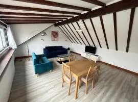 Grand studio 65m² à Saint-Esprit, Bayonne - WiFi, près gare - FR-1-239-996