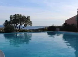 Maison mitoyenne T3 avec piscine, clim, parking, animaux acceptés - FR-1-768-21