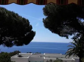 Villa familiale 8 pers, jardin, BBQ, proche mer - Les Issambres - FR-1-768-28