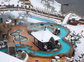 Jungheung Gold Spa & Resort, resort in Naju