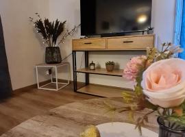 Le Cosy Home, apartment in Oyonnax