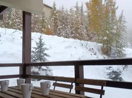 les chalets de puy st vincent