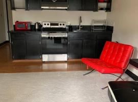 Lucy's Place -STUDIO Apt with air-conditioning, Murphy bed、ヒロのホテル