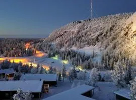 Rukan Tunturipöllö