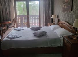 Platinvm B&B, Bed & Breakfast in Predeal