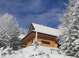 Domki Krynica, chalet de montaña en Krynica-Zdrój